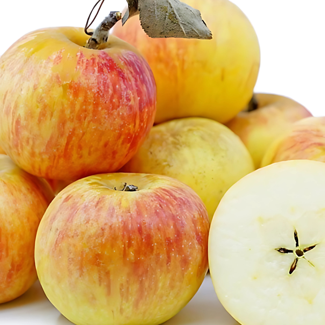 Äpple - Cox Orange Pippin