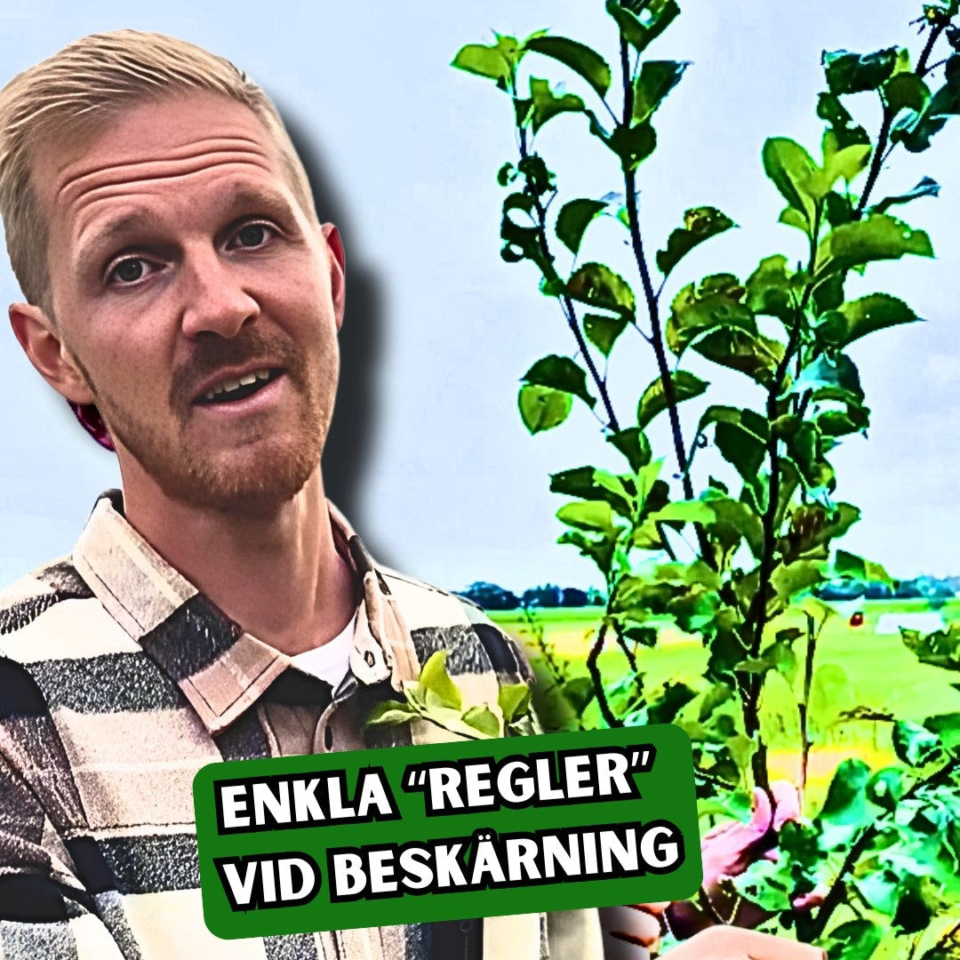 Beskarningstips.jpg