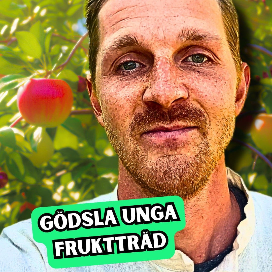 Godsla_unga_frukttrad.jpg