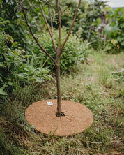 Ogrässkydd för träd