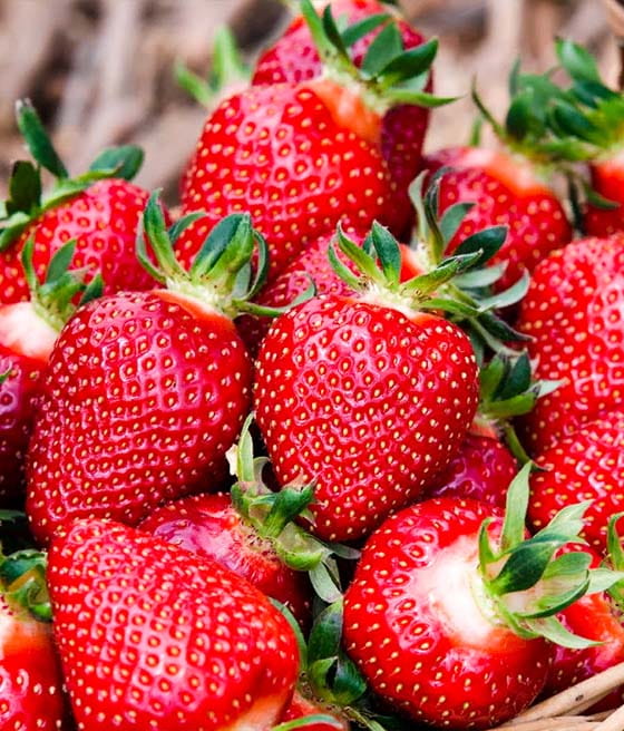 jordgubbar-corona.jpg